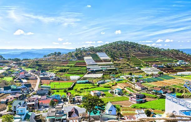 Nguyen Phuong Hotel Dalat Exteriér fotografie