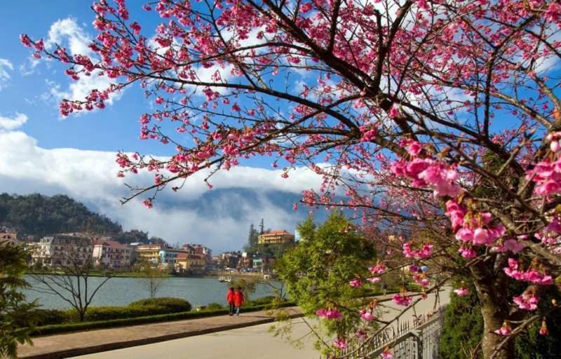 Nguyen Phuong Hotel Dalat Exteriér fotografie
